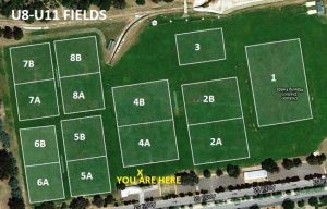MFC U8-U11 Fields